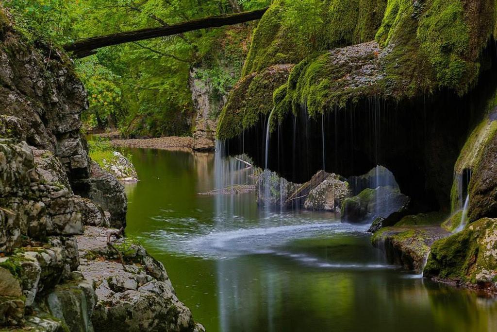 Casa Valea Morilor Affittacamere Eftimie Murgu Esterno foto